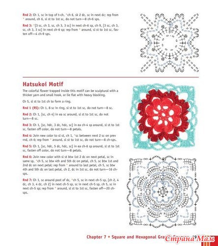 Chachula Robyn - Crochet Stitches VISUAL Encyclopedia - 2011