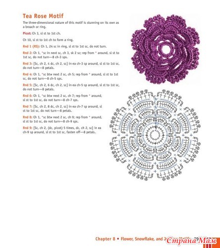 Chachula Robyn - Crochet Stitches VISUAL Encyclopedia - 2011
