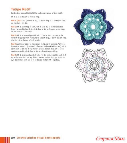 Chachula Robyn - Crochet Stitches VISUAL Encyclopedia - 2011