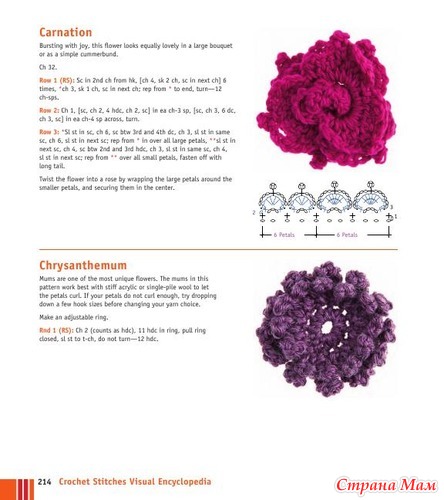 Chachula Robyn - Crochet Stitches VISUAL Encyclopedia - 2011