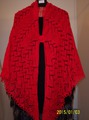 Regenerate Shawl , knitted by me
