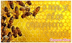 О ПОЛЬЗЕ МЁДА СМЕШАННОГО С ВОДОЙ.