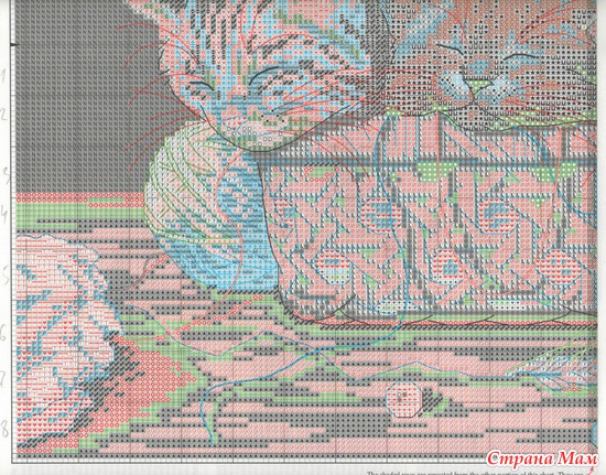 ������������� ������ �� ���