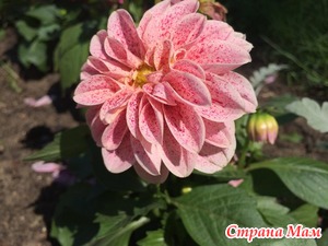 Как вызвать в мужчине восхищение вами?