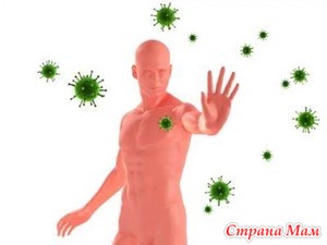 Как работает иммунная защита?