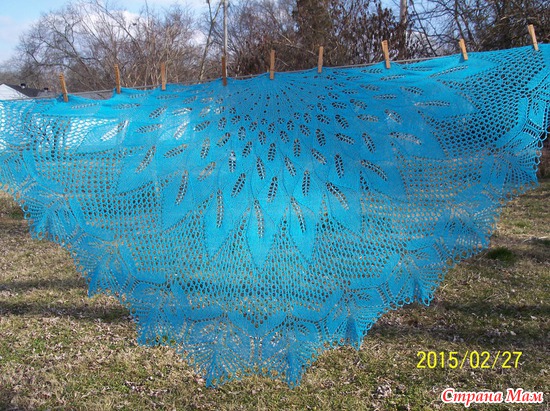 &quot;Papyrifera&quot; shawl full view