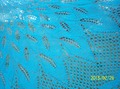Detail view of &quot;Papyrifera&quot; shawl.