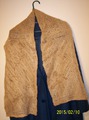 Scarf &quot;Transform&quot; by Siew Clark.