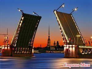 Поездка в Питер и кое-что еще. Глава 3 из романа Улыбка Амура