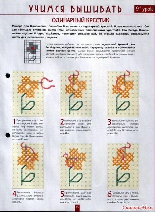  25
