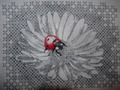 Ajisai Designs Ladybug and daisy