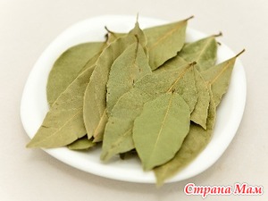Лавровый лист от аллергии