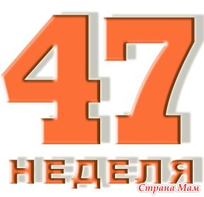 47 неделя