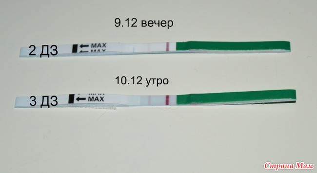 Задержка 2 года