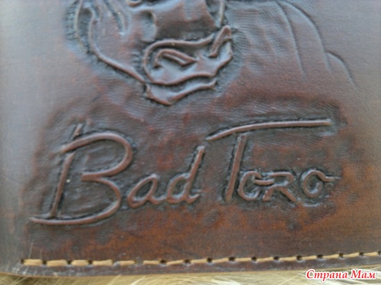  &quot;Bad Toro&quot;