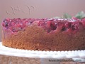    (Upside-Down Cranberry Cake)