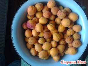 Заготовка абрикос
