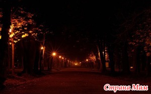 С детьми гуляю ночами и им это нравится