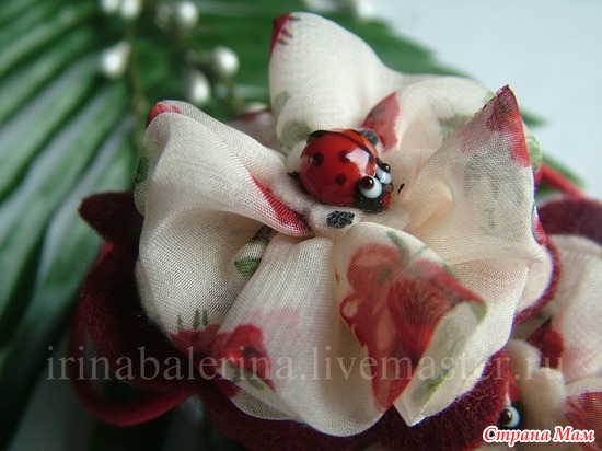 ������� ��� ����� "������� ���"