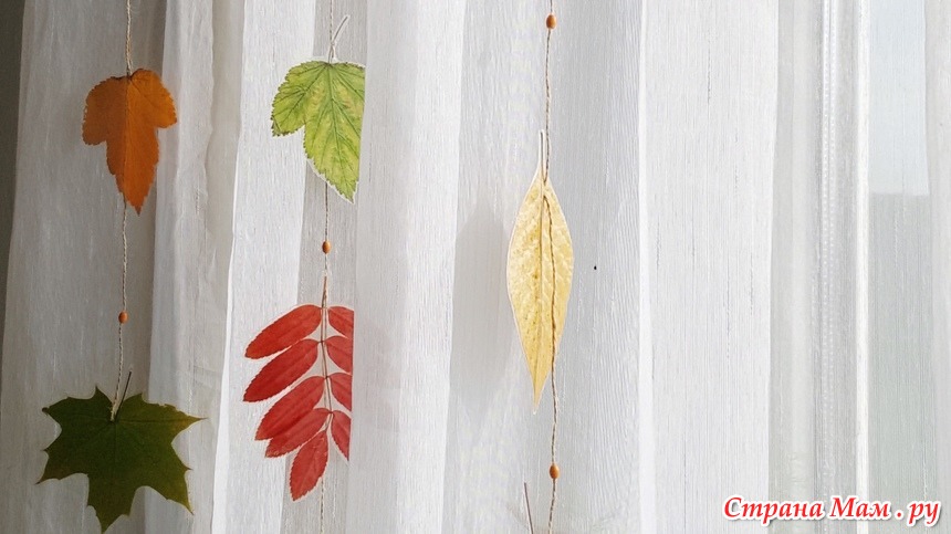 Ламинация листьев. Заламинированные осенние листья. Ламинированные осенние листья. Декор из ламинированных листьев. Заламинировать листочки.