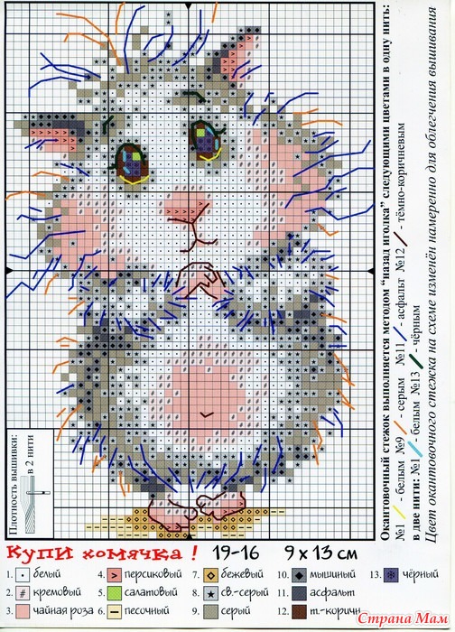 ���� �������