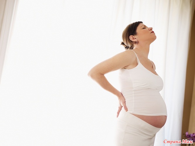 Доклад: Патология почек и беременность