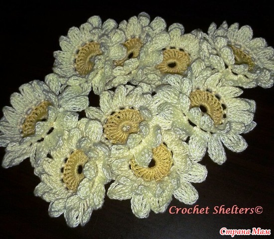 Crochet Flowers