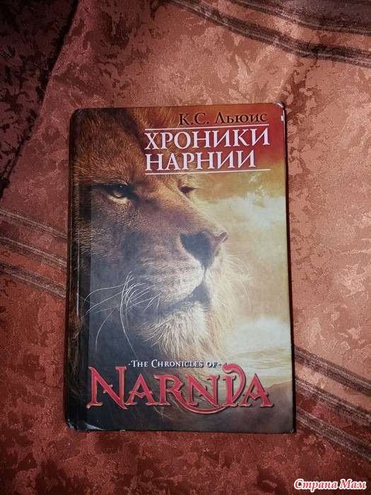 Книги где герой в компьютерной игре