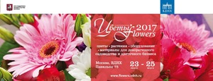  /Flowers-2017  