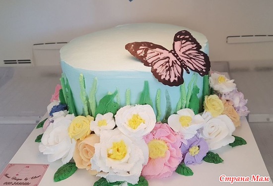 Торт с бабочкой
