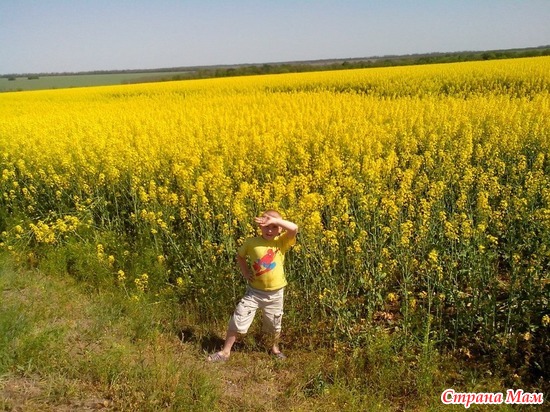 Широка страна моя родная фото