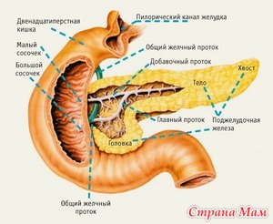 Панкреатит. Это начало конца?