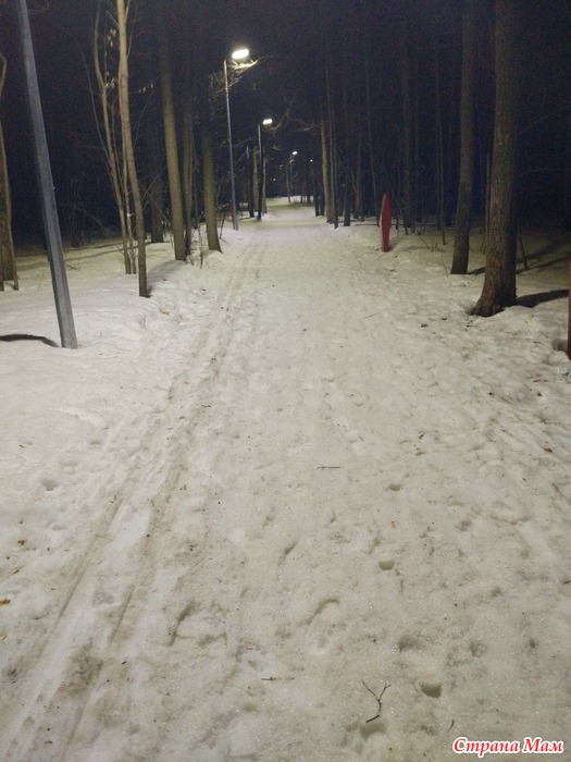06.04.2019