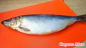 Две закуски из одной селедки