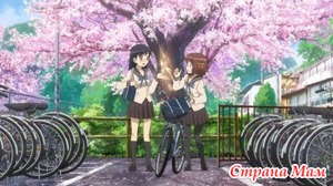 Девичий велоклуб Минами Камакура