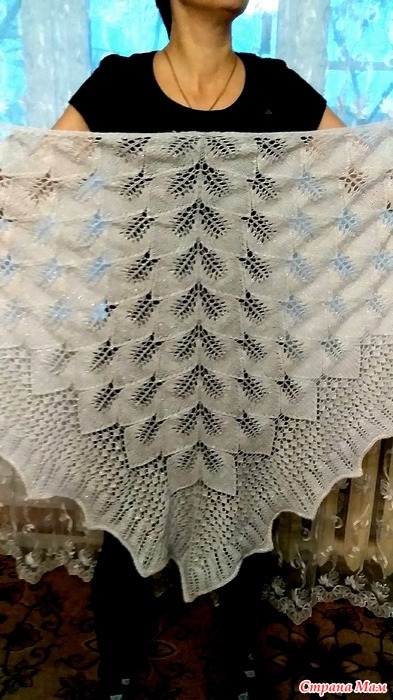    (  )
