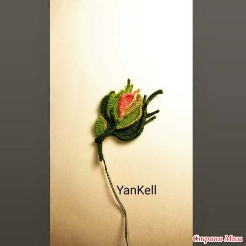  ,  YanKell