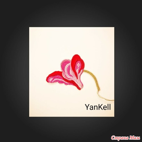 ,  ,  YanKell