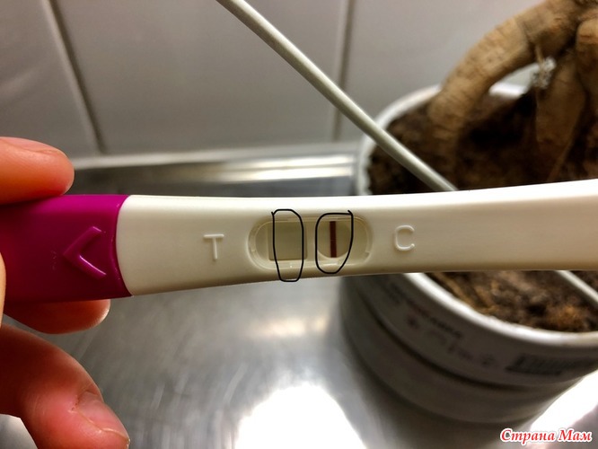 динамика тестов на беременность по дпо | Дзен