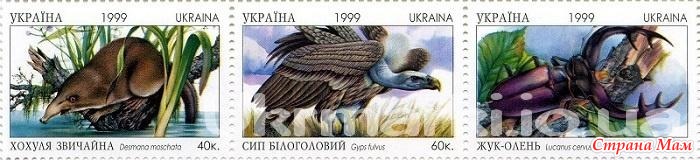 1999�. ������ �������� ����� ����� ������-���