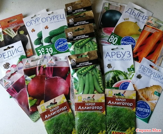 Пойду писать завещание... Ибо это предел. - Страна Мам