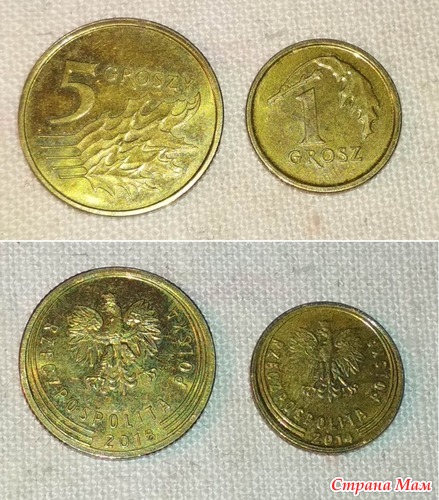 ������ 1 � 5 ������