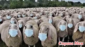 �� �� ���� � �� ����, � ���� �� �� (�)