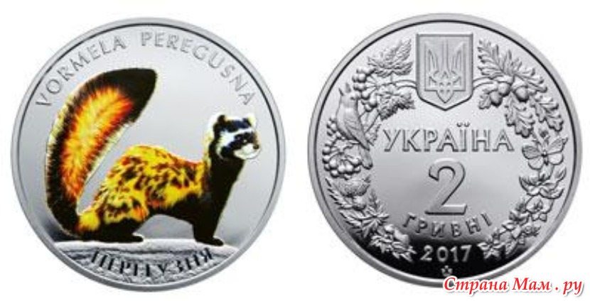 ��������� 2 ���