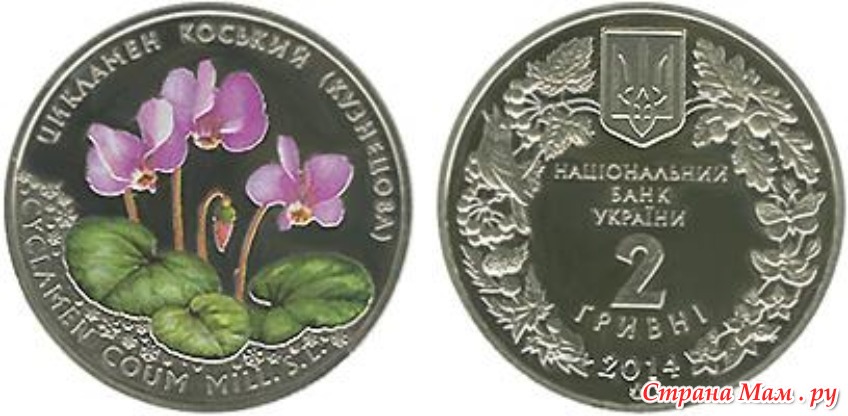 �������� 2 ���