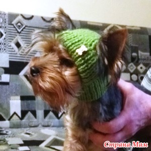 Ну а теперь, вяжем собакам спицами теплый свитер, используя полученные вычисления!