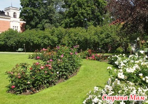 ��������� � ��������