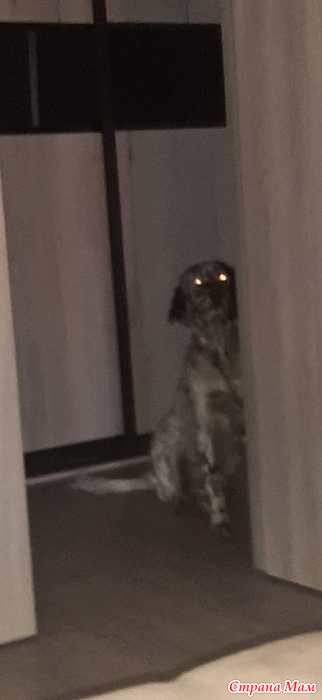 ,  ?