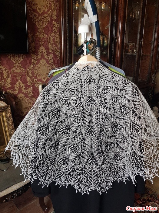 ���� ������� ��������� ���