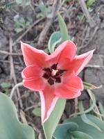 ��������� ������� (26.05.2023)